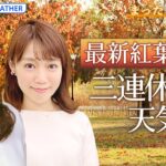 【お天気ライブ】ようやく秋が来た！ 最新紅葉情報＆気になる三連休の天気は？ ゆる～く解説【まったり天気部屋】（2023年10月6日）| TBS NEWS DIG