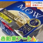 「もうこれは魔法だね」「脳が混乱する！」超リアル！66万回再生の“色鉛筆アート”｜TBS NEWS DIG