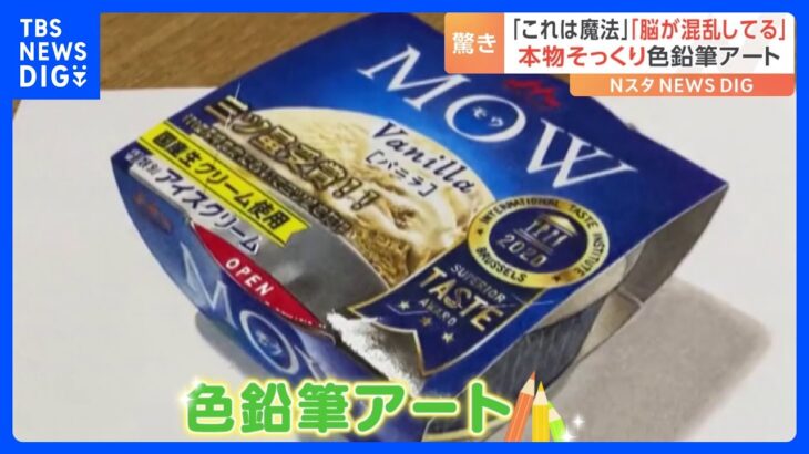 「もうこれは魔法だね」「脳が混乱する！」超リアル！66万回再生の“色鉛筆アート”｜TBS NEWS DIG