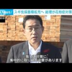 岸田総理 花粉症対策で製材工場視察「スギの伐採面積広げる」 住宅資材への転換も促進(2023年10月7日)