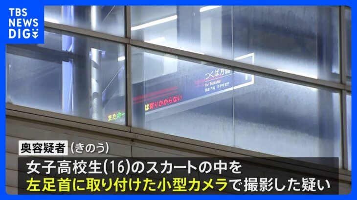 高校教諭を盗撮疑いで逮捕　足首に取り付けた小型カメラでスカートの中を撮影疑い　千葉県警｜TBS NEWS DIG