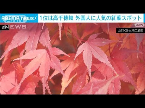 あそこの紅葉ぜひ見たい！…訪日外国人に人気の上位3カ所(2023年10月8日)