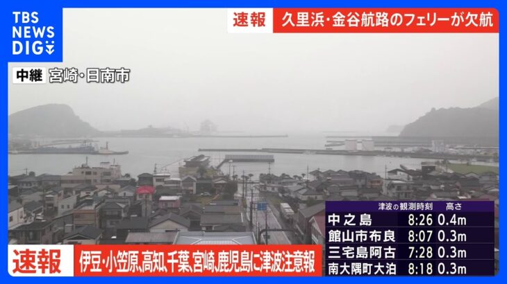 久里浜・金谷航路のフェリーが欠航　津波注意報の影響｜TBS NEWS DIG