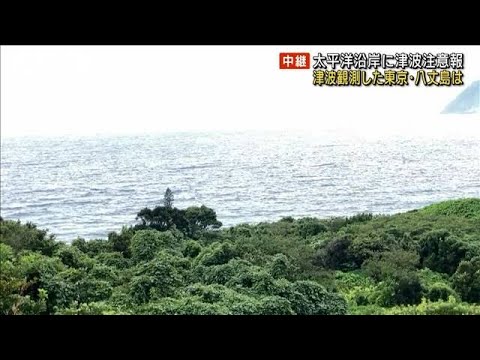 津波観測した東京・八丈島は　太平洋沿岸に津波注意報(2023年10月9日)
