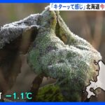 「キターッって感じ」北海道で今季初の氷点下を観測　帯広市では平年より6日早く「初氷」を観測｜TBS NEWS DIG