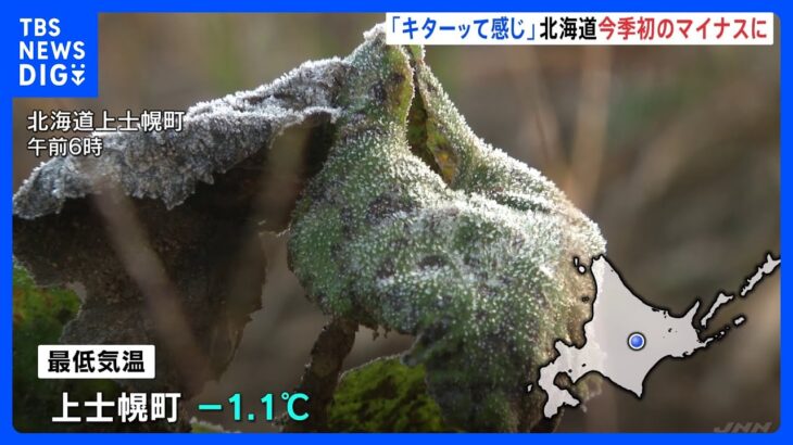 「キターッって感じ」北海道で今季初の氷点下を観測　帯広市では平年より6日早く「初氷」を観測｜TBS NEWS DIG