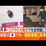 「トコジラミ・パニック」フランスで社会問題に　被害は日本でも…害虫駆除業者に密着(2023年10月10日)
