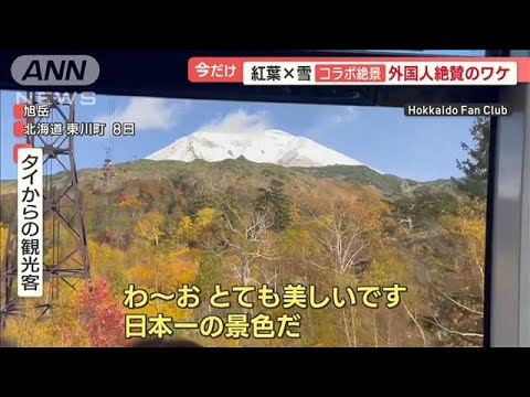 北海道・旭岳　絶景“紅葉と雪”コラボレーション…長蛇の車列600m　紅葉は見頃に異変【羽鳥慎一 モーニングショー】(2023年10月11日)