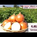 列島快晴“収穫の秋”が最盛期　北海道“幻の玉ねぎ”が豊作(2023年10月12日)