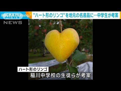 ハート形のリンゴで地元を救え　秋田県の中学生が考案「湯沢の名産品に」(2023年10月13日)