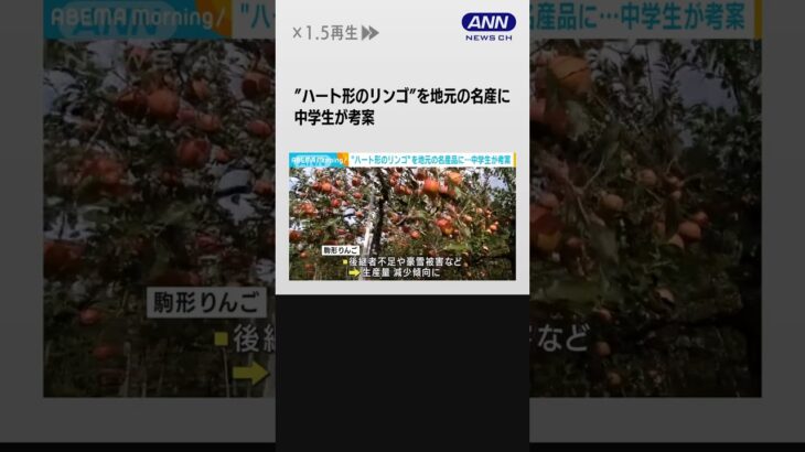 ハート形のリンゴで地元を救え　秋田県の中学生が考案「湯沢の名産品に」 #shorts