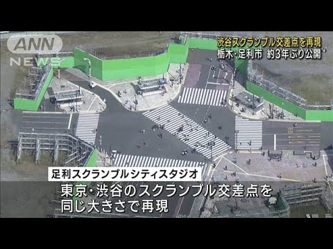 渋谷スクランブル交差点を栃木・足利市に再現　約3年ぶり巨大セット公開(2023年10月14日)