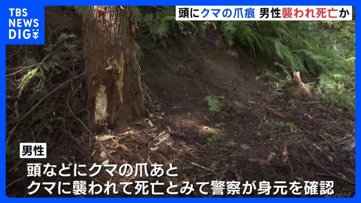 クマに襲われ男性が死亡か　頭などにクマの爪痕　長野・飯山市｜TBS NEWS DIG