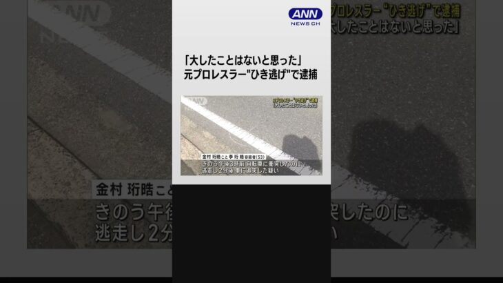 元プロレスラー「金村キンタロー」を逮捕　ひき逃げし別の車に追突した疑い 千葉市 #shorts