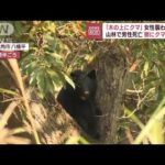 「木の上にクマ」女性襲われ搬送　山林で男性死亡　頭にクマの爪痕(2023年10月16日)