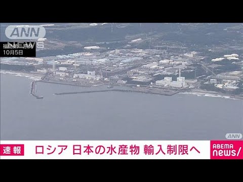 ロシアが日本産水産物の輸入制限へ　中国の措置に同調し日本をけん制か(2023年10月16日)