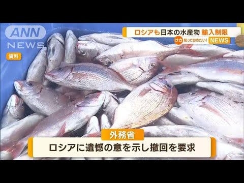 ロシアも…日本産水産物の輸入制限【知っておきたい！】(2023年10月17日)