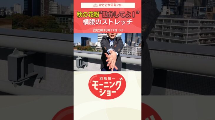 秋の花粉！？勘弁してよ！横腹のストレッチ 片岡信和【羽鳥慎一モーニングショー】