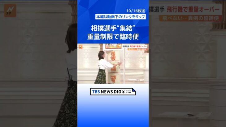 相撲選手　飛行機が重量オーバーで飛べない…異例の臨時便　行き先は「日本一土俵が多い島」【Nスタ解説】｜TBS NEWS DIG #shorts