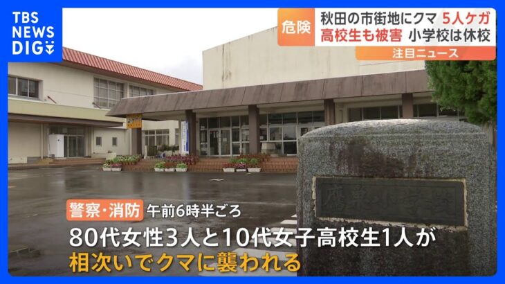 「小学校のすぐそばで…」市街地にクマ　女子高校生含む5人けが　北秋田市｜TBS NEWS DIG