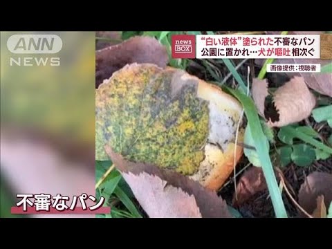 “白い液体”塗られた不審なパン　公園に置かれ…犬が嘔吐相次ぐ(2023年10月19日)