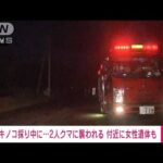 【速報】キノコ採り中にクマに襲われる　男性逃げ出し…女性の遺体発見　岩手(2023年10月19日)