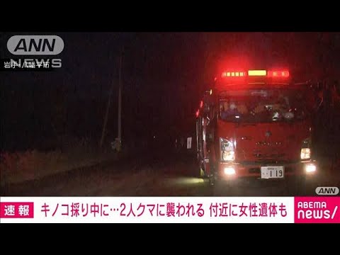 【速報】キノコ採り中にクマに襲われる　男性逃げ出し…女性の遺体発見　岩手(2023年10月19日)