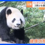 上野動物園の双子パンダ「シャオシャオ」と「レイレイ」　最新映像を公開｜TBS NEWS DIG