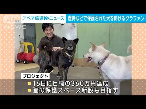 虐待などで保護された犬救え！クラファンで施設作り一般家庭で飼えるようトレーニング(2023年10月19日)