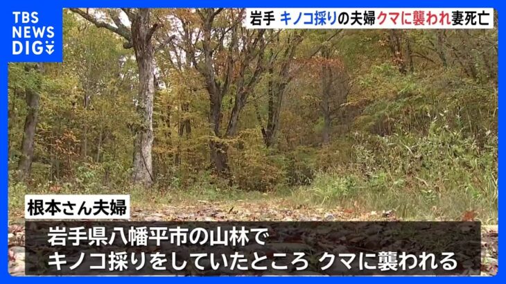 キノコ狩り中の70代夫婦がクマに襲われ妻が死亡　夫は自力で下山するも重傷｜TBS NEWS DIG