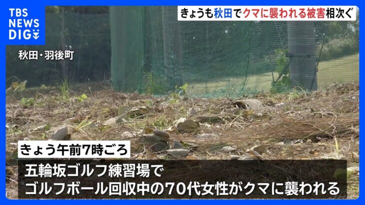 ゴルフ練習場で70代女性が後ろからクマに襲われる　命に別状なし　秋田・羽後町｜TBS NEWS DIG