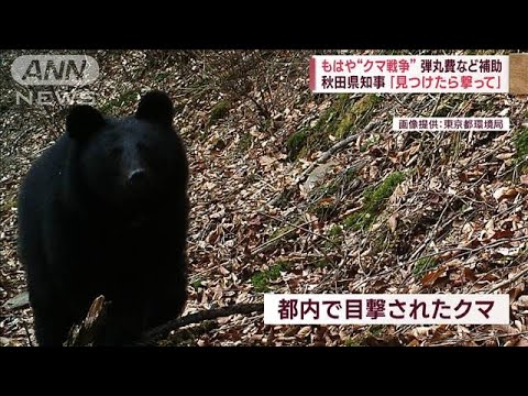 またクマ襲撃…70代女性けが　クマ対策グッズ「去年の1.5倍」 東京でも目撃が…(2023年10月24日)