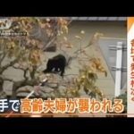 病院やバス停に…秋田でクマ被害相次ぐ　岩手ではキノコ狩り中に襲われ高齢女性死亡(2023年10月20日)