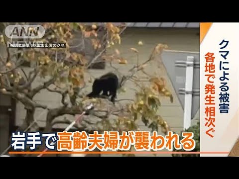 病院やバス停に…秋田でクマ被害相次ぐ　岩手ではキノコ狩り中に襲われ高齢女性死亡(2023年10月20日)