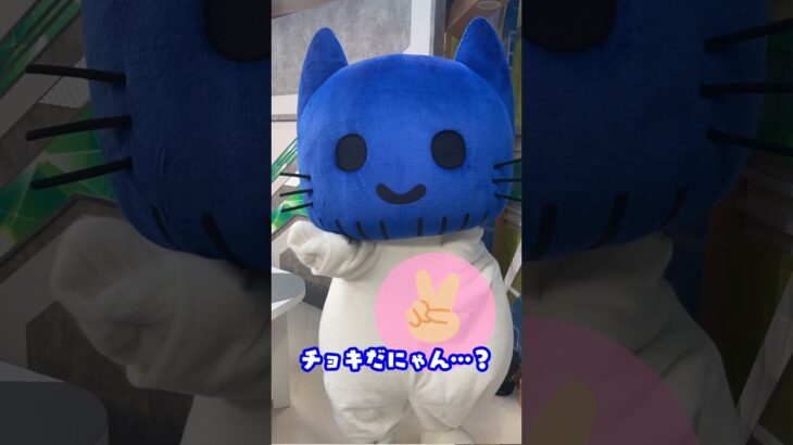 【マスクにゃん】とジャンケン！！勝負だにゃ！😽