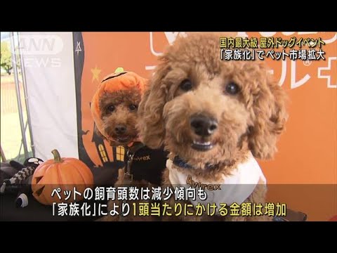 横浜で国内最大規模ドッグイベント　「家族化」進みペット市場拡大(2023年10月21日)