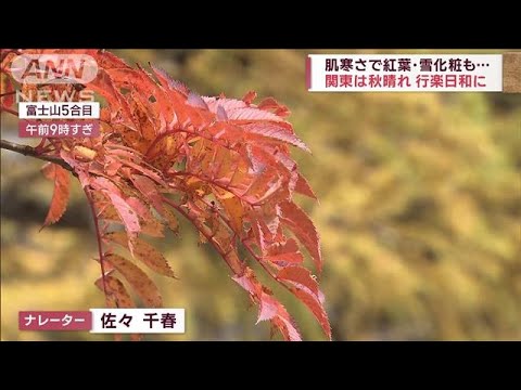 肌寒さで紅葉・雪化粧も…関東は秋晴れの行楽日和に(2023年10月21日)