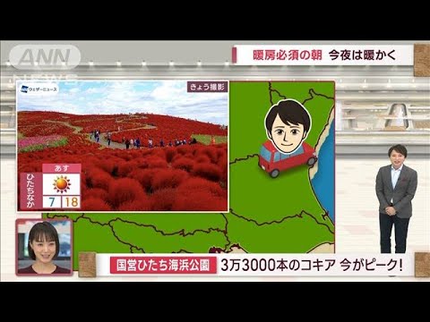 【関東の天気】防寒必須！あすは今季一番の寒い朝　紅葉狩りは冬コートで！(2023年10月21日)