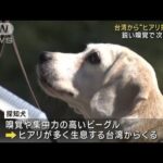 特定外来生物をにおいで　“ヒアリ探知犬”調査を公開(2023年10月22日)
