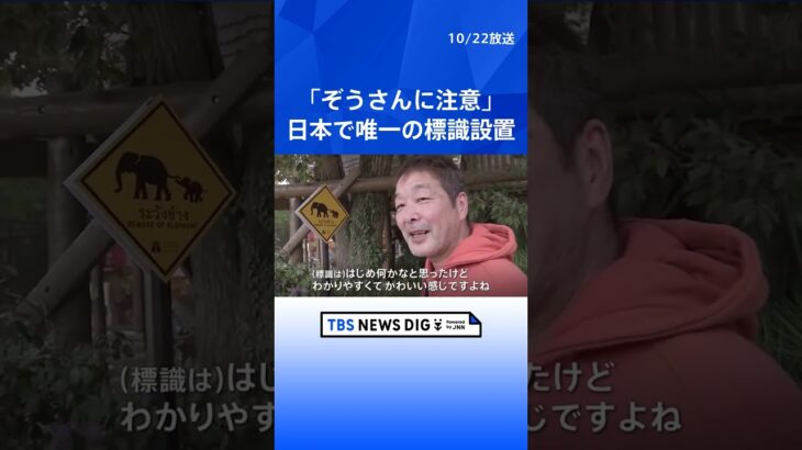 日本で唯一の「ぞうさんに注意」標識設置　市原ぞうの国　千葉・市原市  | TBS NEWS DIG #shorts