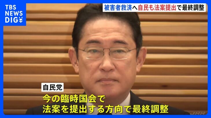 旧統一教会めぐり「財産保全」など被害者救済へ　自民党が議員立法提出で最終調整　岸田総理が国会で方針表明の見通し｜TBS NEWS DIG