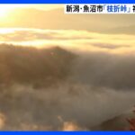 【絶景】雲が滝のように流れる「滝雲」　神秘的な光景が広がる　新潟・枝折峠｜TBS NEWS DIG