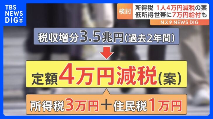 「リーダーの姿示せていない」与党議員が異例の指摘　所得税と住民税あわせて4万円減税で検討　政府・与党｜TBS NEWS DIG