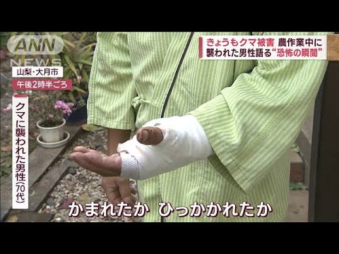 農作業中にクマに襲われた男性語る“恐怖の瞬間” 「撃退スプレー」効果は?(2023年10月25日)