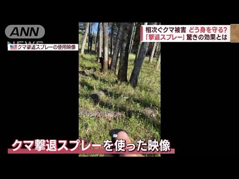 相次ぐクマ被害 どう身を守る?　需要急増「撃退スプレー」効果は(2023年10月25日)