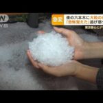 「恐怖覚えた」夜の六本木に“大粒のひょう”…逃げ惑う人々　東京都心にゲリラ雷雨【もっと知りたい！】(2023年10月26日)