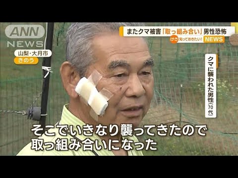 またクマ被害「いきなり襲って来たので取っ組み合いに」…男性が語る“恐怖の瞬間”【知っておきたい！】(2023年10月26日)