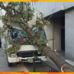 【速報】フロントガラスに街路樹が…トラック同士の事故、はずみで歩道に乗り上げる　京都