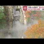 外国人も目指す“雲の中の紅葉”　噴き出す蒸気の絶景「一番の季節」(2023年10月27日)