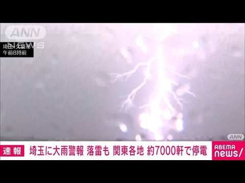 落雷の瞬間…埼玉県内で明け方から激しい雷雨　停電も発生(2023年10月28日)
